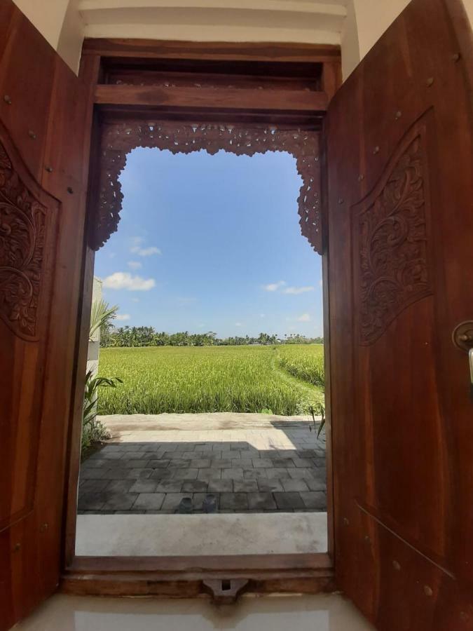 The Satya Villa أوبود المظهر الخارجي الصورة