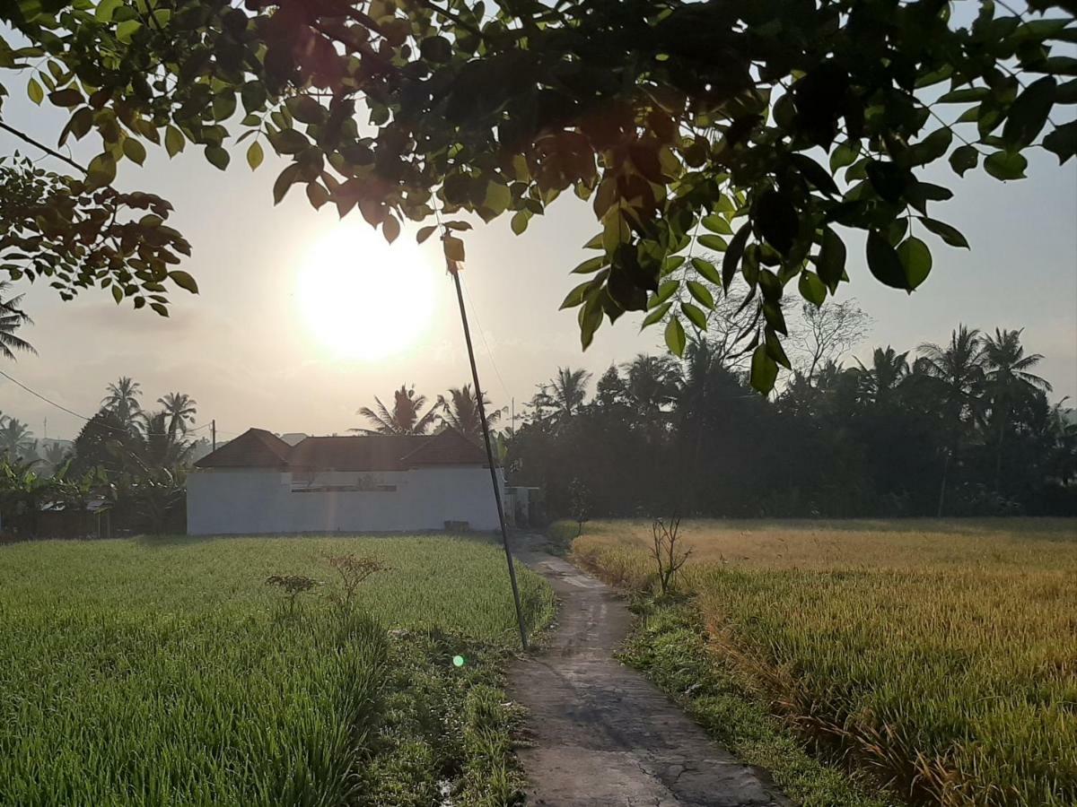 The Satya Villa أوبود المظهر الخارجي الصورة