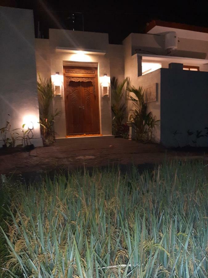 The Satya Villa أوبود المظهر الخارجي الصورة