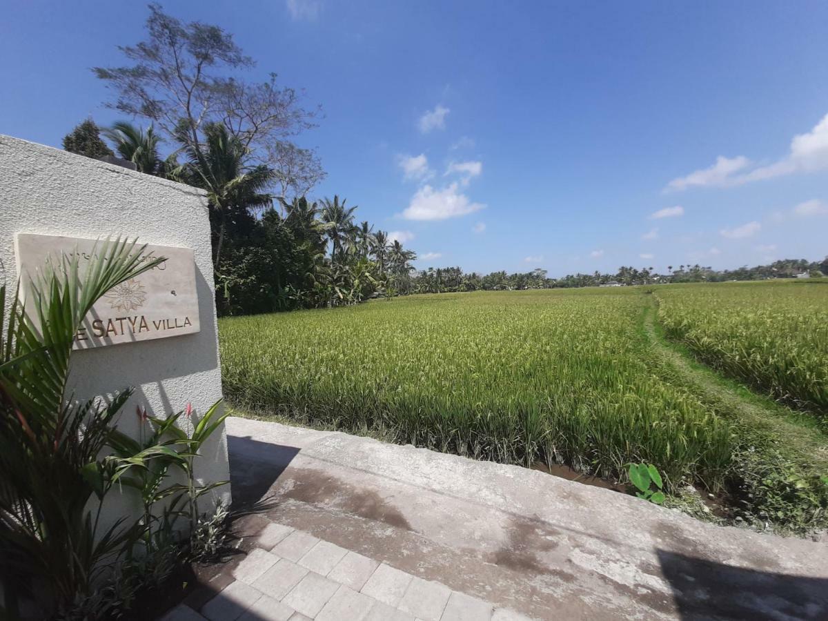 The Satya Villa أوبود المظهر الخارجي الصورة